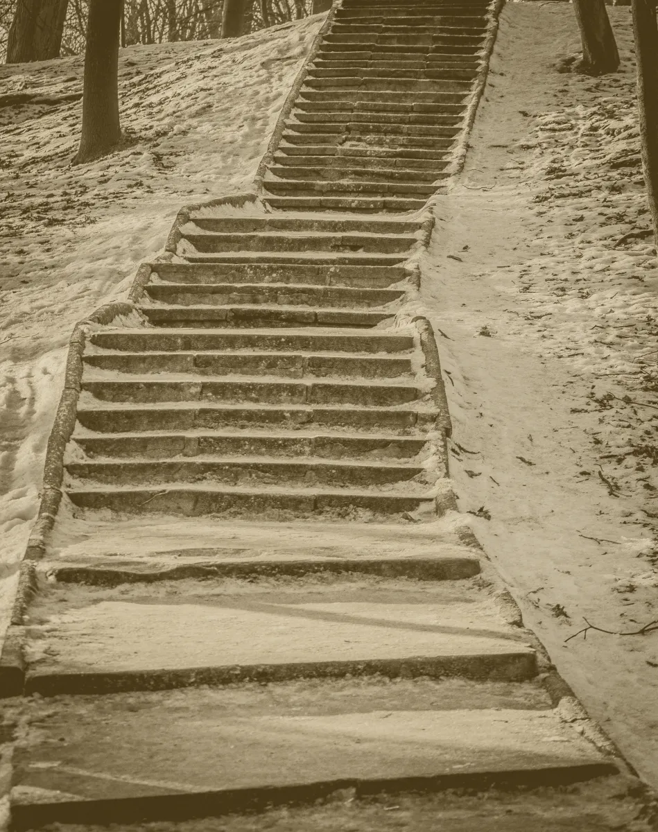 Snow-covered stone steps leading uphill through trees